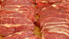 Retiran más de 500,000 libras de carne de cerdo del mercado: USDA