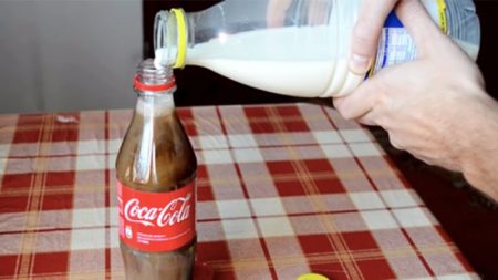 ¿Probó alguna vez mezclar leche con Coca-Cola? El resultado podría cambiar sus gustos en bebida