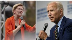 Joe Biden ataca a Elizabeth Warren, dice que es «condescendiente» y representa el «elitismo»