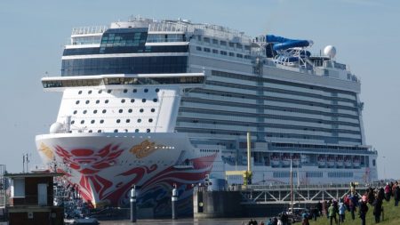 Trasladan pasajeros al hospital en el puerto de Los Ángeles tras enfermarse a bordo de un crucero