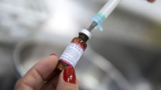 Sete em cada dez brasileiros acreditam em fake news sobre vacinas