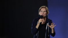 La senadora Elizabeth Warren podría elegir a una mujer vicepresidenta