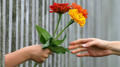 13 de noviembre, «Día Mundial de la Bondad»: Ser amable puede ayudarte a mejorar tu vida