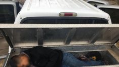 Rescatan en Texas a migrante mexicano dejado en una caja mientras su traficante se da a la fuga