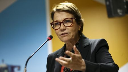 Ministra avalia que mercado dos EUA voltará a comprar carne brasileira