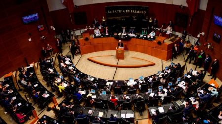 Nova presidente do CNDH no México não pode tomar posse devido a fraude eleitoral, dizem senadores