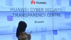 Senadores pedem a presidente Trump que avalie risco de segurança da Huawei para os EUA