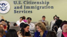 EUA dificultarão concessão de autorizações de trabalho para imigrantes ilegais (Vídeo)