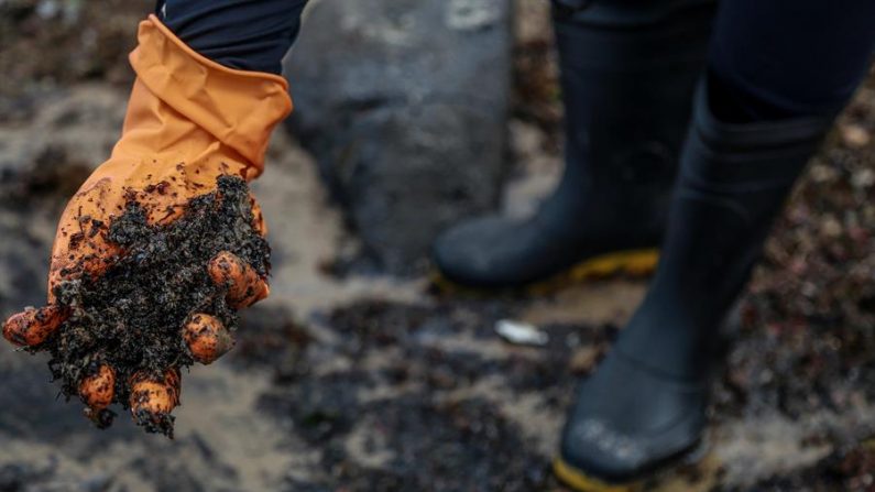 Voluntário segura areia misturada com óleo na quarta-feira, 30 de outubro, durante a limpeza da praia de Itapuama, localizada no município de Cabo de Santo Agostinho (Brasil) (EFE / Diego Nigro)