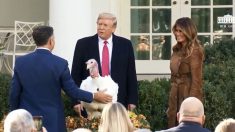 Trump indulta a «Butter», el pavo del Día de Acción de Gracias, y bromea sobre el impeachment