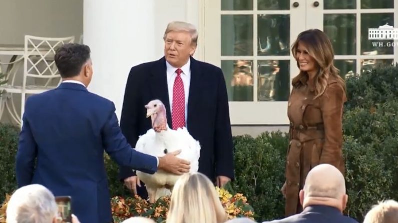 El presidente Trump indultó al pavo "Mantequilla" en la Casa Blanca el 26 de noviembre de 2019. (Casa Blanca)