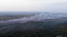 MPF não vê indícios de ação de brigadistas em incêndios florestais