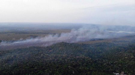 MPF não vê indícios de ação de brigadistas em incêndios florestais