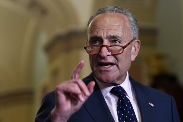 El líder de la minoría del Senado, Chuck Schumer (D-N.Y.), habla durante una conferencia de prensa en el Capitolio de los Estados Unidos en Washington el 29 de octubre de 2019. (Win McNamee/Getty Images)