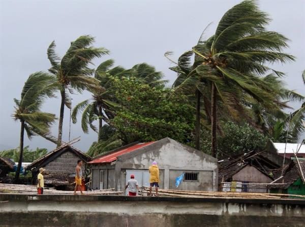 Varias personas manipulan largas cañas procedentes de hogares destrozados, este lunes en Calabanga (Filipinas). Miles de personas están siendo evacuadas hoy en el noreste de Filipinas ante la llegada prevista mañana del tifón Kammuri. EFE/ Jonnel Maribojoc