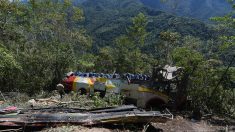 Cinco muertos y diez heridos al despeñarse un vehículo en una ruta boliviana