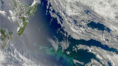 Una gigantesca masa de agua caliente al este de Nueva Zelanda viaja a la deriva hacia Sudamérica