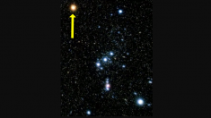Una brillante estrella de Orión perdió su luz. Los astrónomos esperan una explosión tipo Supernova