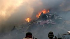 Chile: incêndio voraz e sem controle destrói mais de 100 casas em Valparaíso