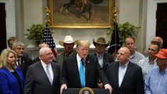Agricultores de EE.UU. elogian el compromiso de los acuerdos para eliminar barreras no arancelarias