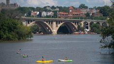 Dos vagones de tren de carga caen al río Potomac en EE.UU. sin causar víctimas