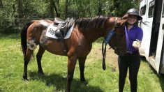 La misión de una adolescente para rescatar caballos