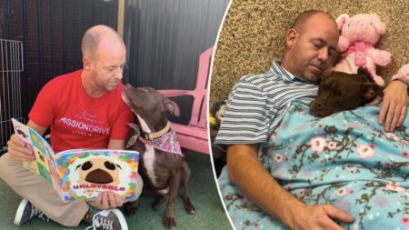 Voluntario de refugio canino se muda a la perrera con un perro solitario que nadie quiere adoptar
