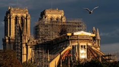 Notre Dame de París se queda sin misa de Navidad por primera vez en 216 años