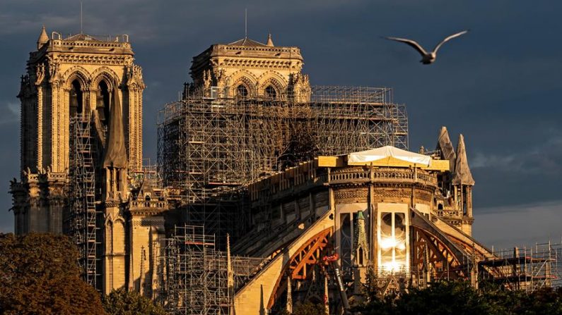 Temprano en la mañana, la luz del sol brilla sobre la Catedral de Notre-Dame en París, Francia, 16 de septiembre de 2019. EFE/EPA/IAN LANGSDON