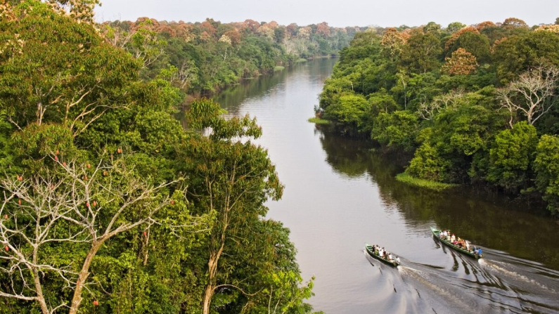 Explorar la cuenca amazónica brasileña tiene un ritmo propio. (Cortesía de Amazon Nature Tours)