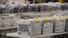 Informe del GOP advierte caos electoral y una posible “crisis constitucional”