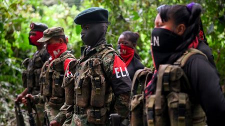 ELN anuncia un «paro armado indefinido» en el departamento colombiano del Chocó