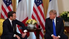 Trump ofrece terroristas del ISIS a Macron