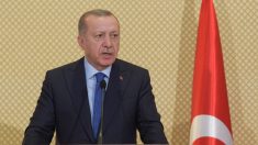 Erdogan ordena la destitución de 10 embajadores, incluido el enviado de EE.UU.