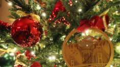 Las decoraciones de Navidad por Melania Trump en la Casa Blanca muestran el espíritu de América