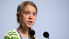 Greta Thunberg: Una explicación viviente de lo que es la izquierda