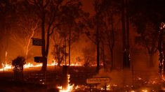 Australia envía 2 barcos para rescatar a 4000 atrapados en incendio que deja muertos y desaparecidos