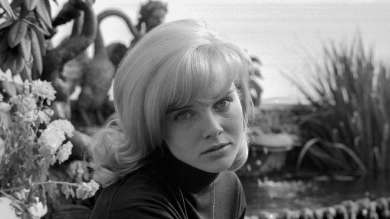 Retrato de la actriz Sue Lyon en el Dorchester Hotel, Londres, 5 de octubre de 1964. (Les Lee / Express / Getty Images)