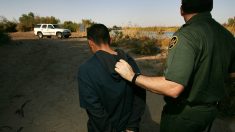 Detienen a un miembro mexicano de la pandilla MS-13 en la frontera con Arizona