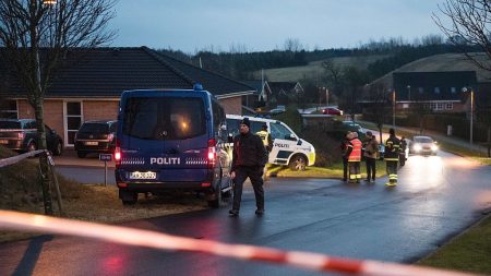 Una veintena de detenidos en Dinamarca por preparar un atentado terrorista ISIS