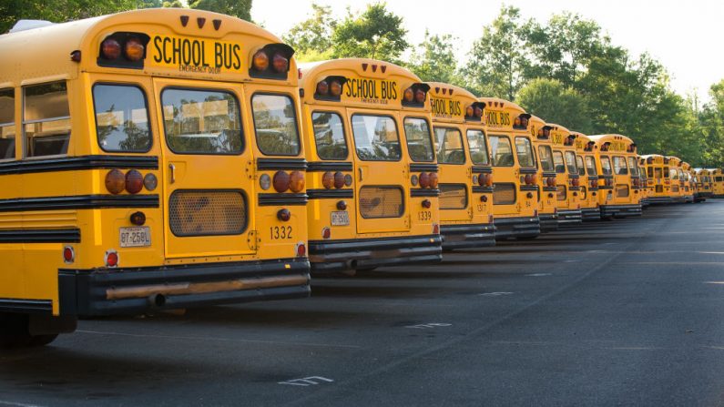 Algunos de los cientos de autobuses escolares que utiliza el condado de Fairfax, esperan en un estacionamiento en Fairfax, Virginia, el 24 de junio de 2008, para el próximo día escolar y para transportar a los escolares. (Paul J. Richards / AFP a través de Getty Images)
