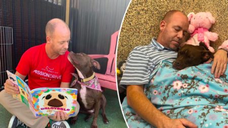Voluntário de abrigo de cães se muda para canil com cadela solitária que ninguém queria adotar