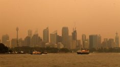 Incêndios na Austrália cobrem Sydney com uma densa camada de fumaça