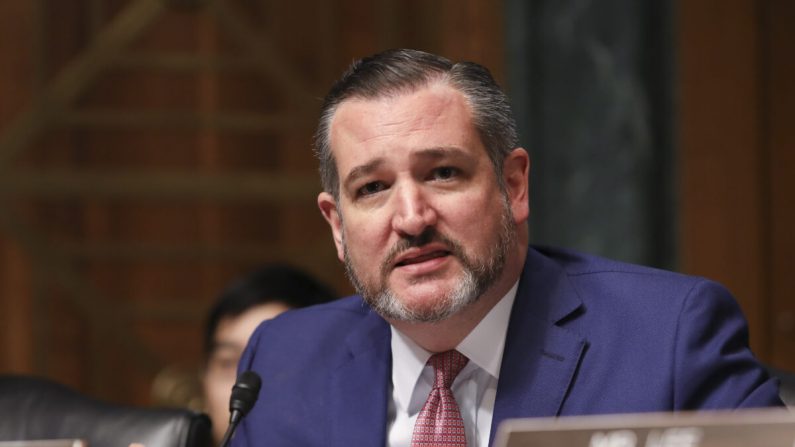 El senador Ted Cruz (R-Texas) durante una audiencia judicial en el Senado sobre las jurisdicciones de la reserva, en el Capitolio de Washington, el 22 de octubre de 2019. (Charlotte Cuthbertson/The Epoch Times)