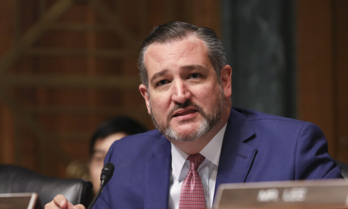 El senador Ted Cruz (R-Texas) durante una audiencia judicial del Senado sobre las jurisdicciones santuarias, en el Capitolio de Washington el 22 de octubre de 2019. (Charlotte Cuthbertson/The Epoch Times)