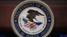 Departamento de Justicia detuvo más de 600 «mulas de dinero» utilizadas en esquemas de fraude
