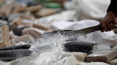 Hallan más de 1000 kilos de droga en una caleta en Panamá