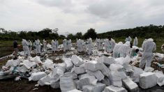 Decomisan 500 paquetes de cocaína y detienen a tres colombianos en Panamá
