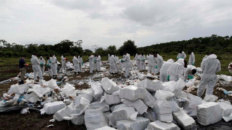 Unidades de la Policía Nacional de Panamá destruyen el 29 de noviembre de 2019 24.6 toneladas de drogas en la desembocadura de Río Bayano, en Chepo. EFE/Bienvenido Velasco