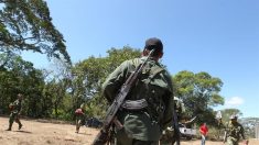ONU registra 77 ex-guerrilheiros das Farc assassinados em 2019